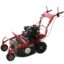Blue Bird FM600 Trinciaerba professionale a martelli Loncin LC175F 2 agri futura