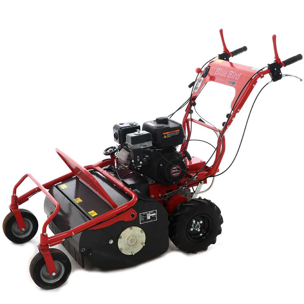 Blue Bird FM600 Trinciaerba professionale a martelli Loncin LC175F 2 agri futura